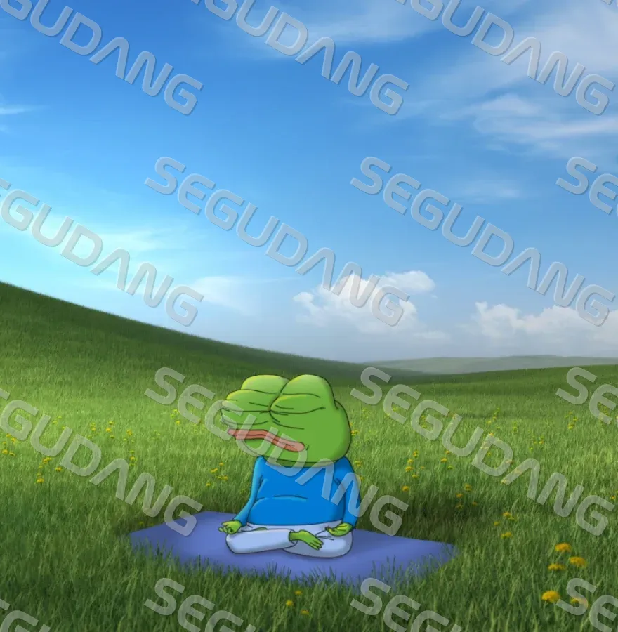 DELL Latitude 5310